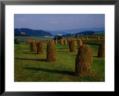 Bales Of Hay In Pieniny Mountains Region, Malopolskie, Poland by Krzysztof Dydynski Pricing Limited Edition Print image