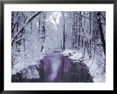 Snow Covered Trees Along Creek In Winter Landscape by Jan Lakey Pricing Limited Edition Print image