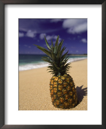 Pineapple On Beach by Brian Bielmann Pricing Limited Edition Print image