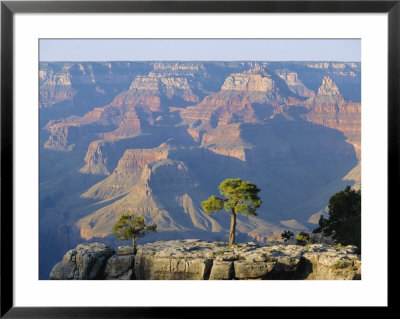 The South Rim Of The Grand Canyon, Arizona, Usa by Fraser Hall Pricing Limited Edition Print image