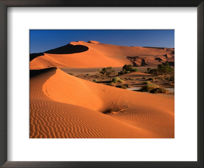 Namib Sand Dunes, Nambia Desert Park, Namib Desert Park, Erongo, Namibia by Carol Polich Pricing Limited Edition Print image