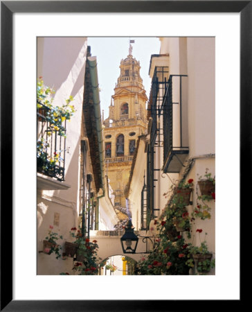 Cordoba, Andalucia, Spain by Peter Adams Pricing Limited Edition Print image