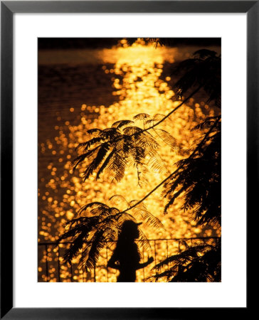 Rodrigo De Freitas Lagoon, Rio De Janeiro, Brazil by Silvestre Machado Pricing Limited Edition Print image