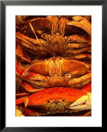 Pile Of Crabs For Sale At Pike Place Market, Seattle, Usa by Levesque Kevin Pricing Limited Edition Print image