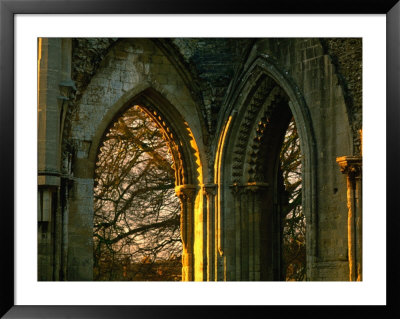 Arches Of Glastonbury Abbey Ruins, Glastonbury, Somerset, England by Jon Davison Pricing Limited Edition Print image