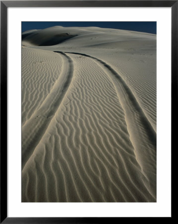 Tyre Tracks Leading Into Stockton Sand Dunes, Newcastle, New South Wales, Australia by Dallas Stribley Pricing Limited Edition Print image
