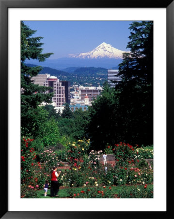People At The Washington Park Rose Test Gardens With Mt Hood, Portland, Oregon, Usa by Janis Miglavs Pricing Limited Edition Print image
