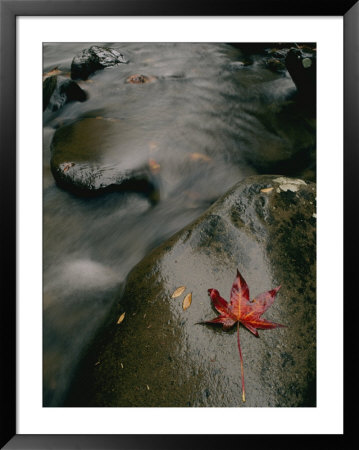 River Scenic In The Smokies by Randy Olson Pricing Limited Edition Print image