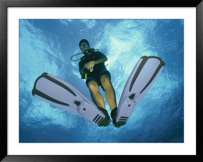 A Diver Descends Into The Caribbean Sea by Heather Perry Pricing Limited Edition Print image
