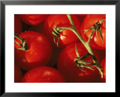 Tomatoes On Vine by Mitch Diamond Pricing Limited Edition Print image