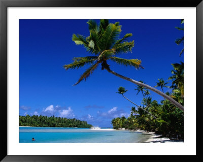 Palm Trees On Beach, Cook Islands by Jean-Bernard Carillet Pricing Limited Edition Print image