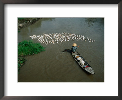 Boatsperson Herding Flock Of Ducks Away From Boat On Mekong Delta, Vietnam by Anders Blomqvist Pricing Limited Edition Print image