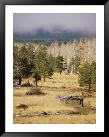 Trail-Running In The San Francisco Peaks by Kate Thompson Pricing Limited Edition Print image