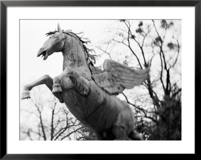 Winged Horse Statue, Mirabellgarten, Austria by Walter Bibikow Pricing Limited Edition Print image