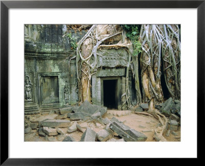 Tree Roots Overgrowng Temple, Ta Prohm, Angkor, Cambodia, Asia by Bruno Morandi Pricing Limited Edition Print image