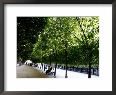 Tree Tunnel In The Royal Palace Garden, Paris, France by Michele Molinari Pricing Limited Edition Print image