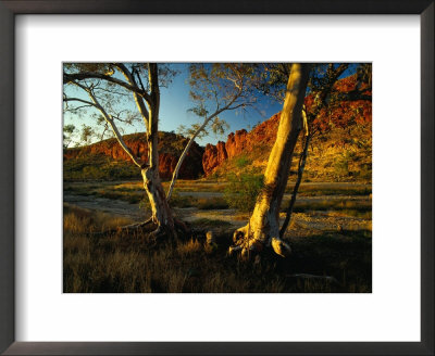 Glen Helen Gorge, West Macdonnell National Park, Australia by Richard I'anson Pricing Limited Edition Print image