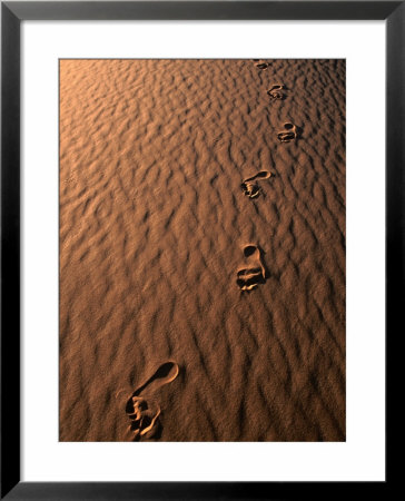 Footprints On Sand Of The Erg Chebbir Dunes Of Merzouga, Erg Chebbi Desert, Morocco by John Elk Iii Pricing Limited Edition Print image