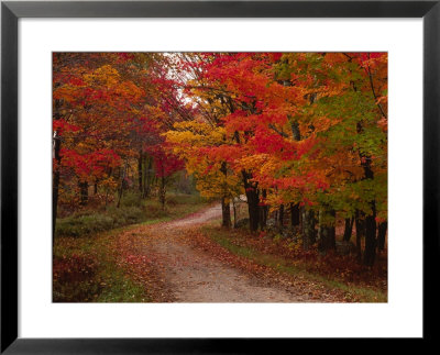 Country Road In The Fall, Vermont, Usa by Charles Sleicher Pricing Limited Edition Print image