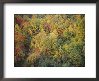 A Bicyclist Emerges From The Forest In This Autumn Scene by Skip Brown Pricing Limited Edition Print image