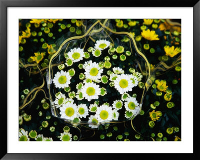 Flowers For Sale At A Milanese Flower Stall, Milan, Lombardy, Italy by Setchfield Neil Pricing Limited Edition Print image