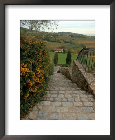View Of Countryside From Stone Steps, Burgundy, France by Lisa S. Engelbrecht Pricing Limited Edition Print image