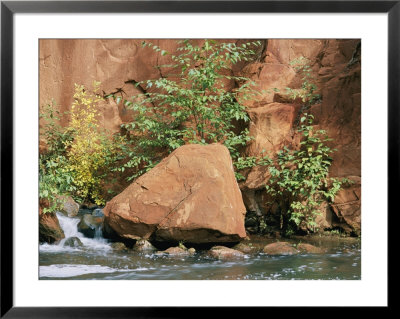 Red Rocks, Fall Colors And Creek, Oak Creek Canyon, Arizona by Rich Reid Pricing Limited Edition Print image