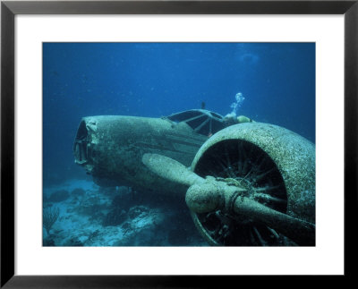 Diver Near Sunken Plane, Aruba by Timothy O'keefe Pricing Limited Edition Print image