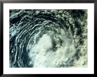Eye Of A Hurricane by Randy Berg Pricing Limited Edition Print image