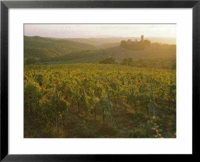 Vineyards And Ancient Monastery, Badia A Passignano, Greve, Chianti Classico, Tuscany, Italy by Michael Newton Pricing Limited Edition Print image