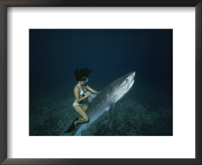 A Woman Rides A Shark by Nick Caloyianis Pricing Limited Edition Print image