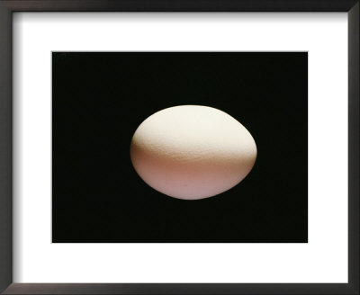 An Egg by Al Petteway Pricing Limited Edition Print image