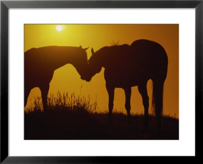 Silhouette Of Horses At Sunset by Jerry Koontz Pricing Limited Edition Print image