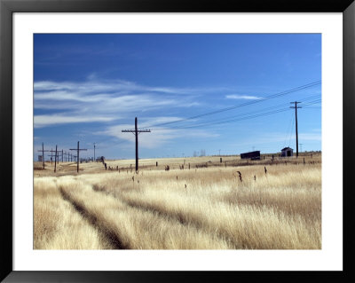 Praire Road, Saskatchewan, Canada by Walter Bibikow Pricing Limited Edition Print image