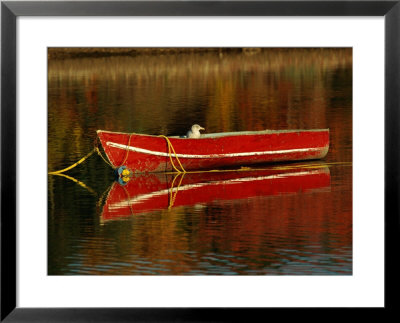 A Gull Rests On An Old Rowboat by Raymond Gehman Pricing Limited Edition Print image
