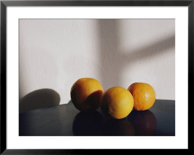 Still Life Of Three Oranges On A Table by Todd Gipstein Pricing Limited Edition Print image