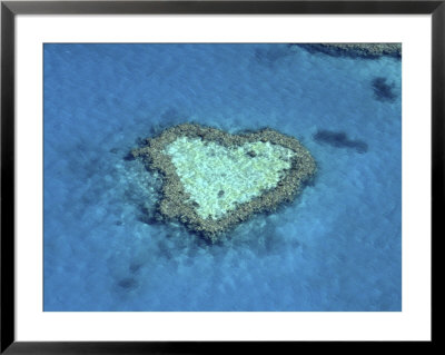 Heart Shape Reef by Jean-Dominique Martin Pricing Limited Edition Print image
