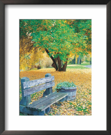 Bench, Autumn Colors by Lynn Eodice Pricing Limited Edition Print image