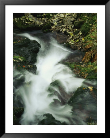 Time Exposure Of Gushing Stream, Bayerischer Wald National Park by Norbert Rosing Pricing Limited Edition Print image