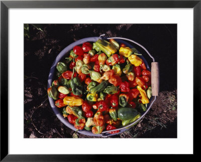 A Pail Full Of Colorful Peppers by Jodi Cobb Pricing Limited Edition Print image