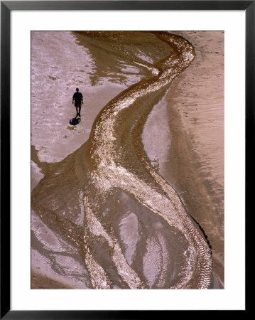 Hiker Walking Along Telok Panden Kecil In Bako National Park, Sarawak, Malaysia by Mark Daffey Pricing Limited Edition Print image