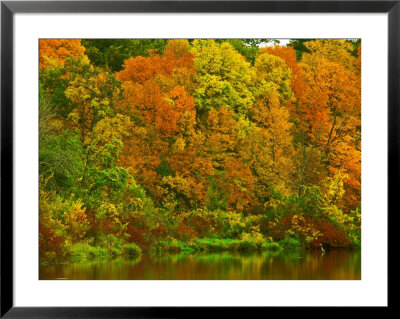 Autumn Colours Reflected In Mississippi River, Usa by David Boag Pricing Limited Edition Print image