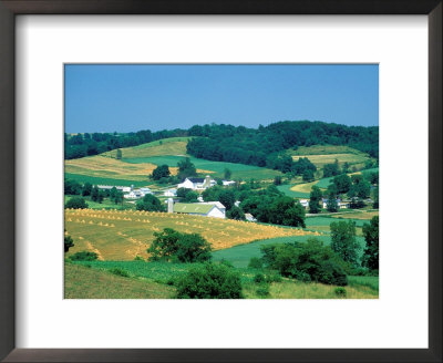 Amish Farms Holmes Co, Ohio by David M. Dennis Pricing Limited Edition Print image