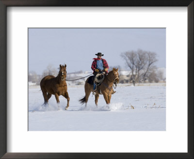 Cowboy Riding Red Dun Quarter Horse Gelding Through Snow, Bethoud, Colorado, Usa by Carol Walker Pricing Limited Edition Print image