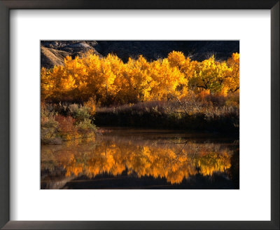 Autumn Colours Of Drumheller Valley In Alberta, Drumheller Valley, Canada by Mark Newman Pricing Limited Edition Print image