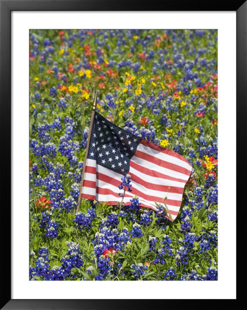 American Flag In Field Of Blue Bonnets, Paintbrush, Texas Hill Country, Usa by Darrell Gulin Pricing Limited Edition Print image