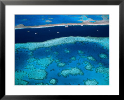 Great Barrier Reef, Whitsundy, Queensland, Australia by Steve Vidler Pricing Limited Edition Print image