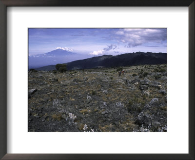 Rocky Terrain With Mountain In The Distance, Kilimanjaro by Michael Brown Pricing Limited Edition Print image