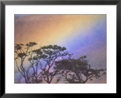 Rainbow Over Rural Valley, Guacimal, Costa Rica by Michele Westmorland Pricing Limited Edition Print image