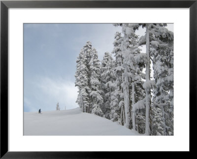 Ski Slopes, Whistler, British Columbia, Canada by Keith Levit Pricing Limited Edition Print image